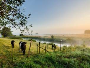 MEGA DEAL! ⚡ 3 dagen in Boutique Hotel de Gloepe incl. ontbijt, dagschotel, GRATIS fiets- en wandelroutes
