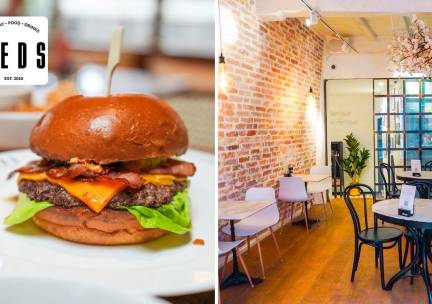 Burger naar keuze + friet bij Teds Utrecht Stadhuisplein