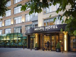 The Mespil