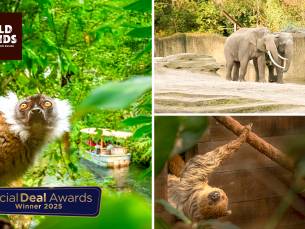 Dagentree voor WILDLANDS Adventure Zoo Emmen