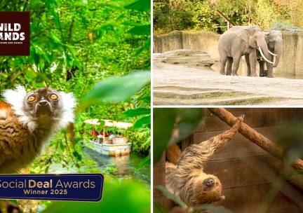 Dagentree voor WILDLANDS Adventure Zoo Emmen