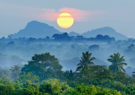De Jungle van Sri Lanka
