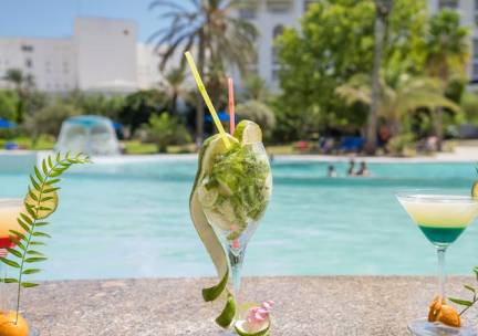 Hotel Vincci Saphir Palace & Spa