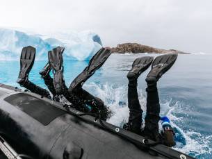 Falkland-Inseln - Südgeorgien - Antarktische Halbinsel