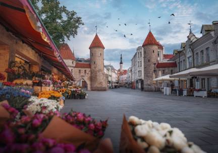 8-daagse fly & drive Estland incl. vlucht, huurauto en ontbijt