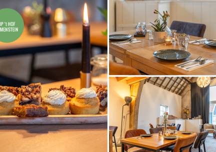 2-gangen high tea (2 uur) bij Op 't Hof Olmenstein