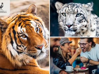Tijgerworkshop (2,5 uur) + koffie/thee + gebak