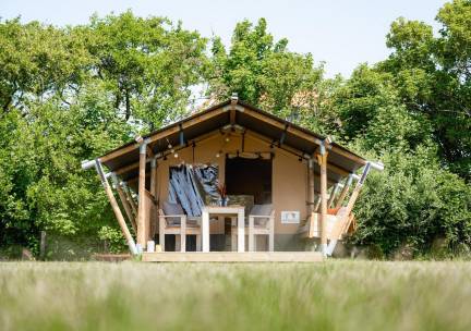 Safaritent Cosy (inclusief ontbijt)