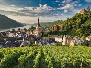 Rijnromantiek naar Rüdesheim met de mps Serenade 1