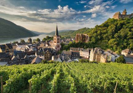 Rijnromantiek naar Rüdesheim met de mps Serenade 1