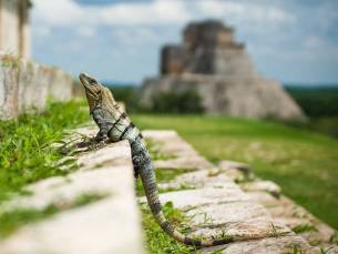 Highlights Yucat&aacute;n & Chiapas