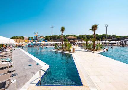TheBelek
