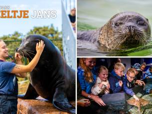 Entree voor Deltapark Neeltje Jans