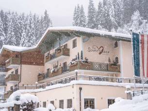 Hotel Schmittenhof (extra ingekocht)