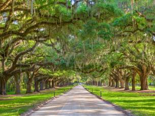 The American South