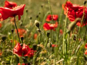Fietsen in de Yorkshire Wolds