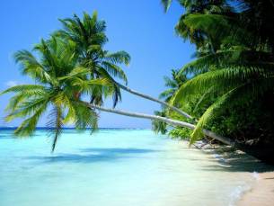 Magisch Molukken & Bali