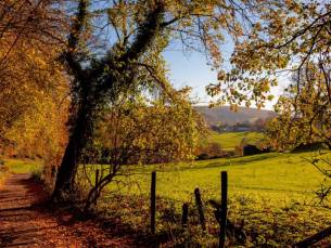 OP=OP! ⚡ Geniet van een 4*-verblijf in een voetbalstadion en ontdek de prachtige omgeving van Zuid-Limburg incl. ontbijt + hoofdgerecht
