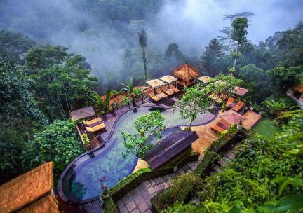 Nandini Jungle