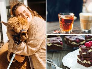 Alpaca Winter Meet & Feed + drankje naar keuze + gebak bij Wilgenhart