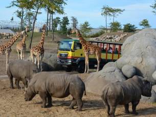 MEGA WILDLANDS SPECIAL! Verblijf in een 4*-hotel in Emmen incl. ontbijt en entree  voor WILDLANDS!