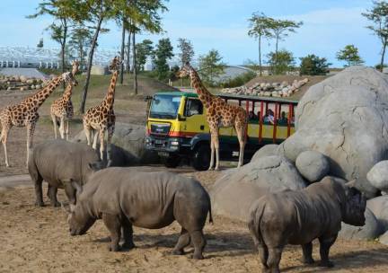 MEGA WILDLANDS SPECIAL! Verblijf in een 4*-hotel in Emmen incl. ontbijt en entree  voor WILDLANDS!