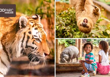 Entree ZooParc Overloon