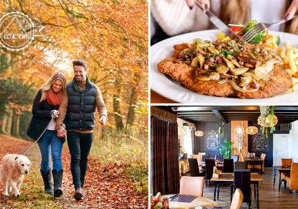 Compleet wandelarrangement incl. koffie/thee + appelflap en een lunchgerecht