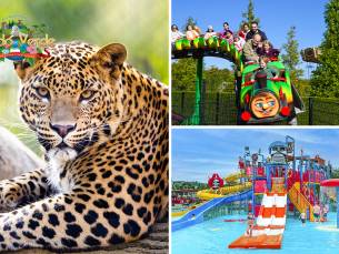 Dagentree voor park Mondo Verde + onbeperkt eten en drinken