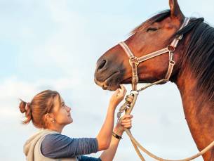 Paardencoaching (60 min)