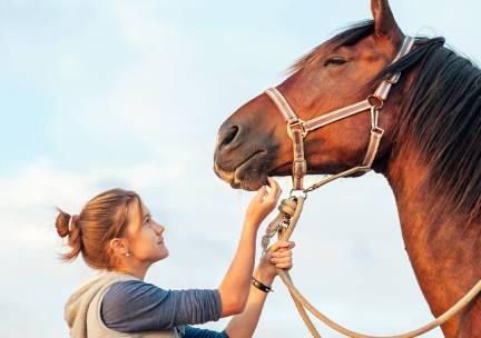 Paardencoaching (60 min)