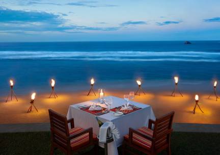 Hikka Tranz by Cinnamon