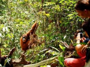 Grand Tour Sumatra, Java en Bali