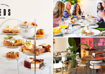High tea (1,5 uur), shared brunch of ontbijt bij Teds Breda Botanique