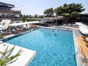 Blue Dolphin