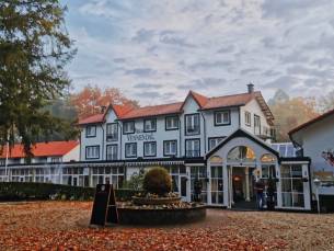 UNIEK! ???? Verblijf in een LUXE lodge midden in de bossen van de Veluwe + eigen terras en incl. ontbijt