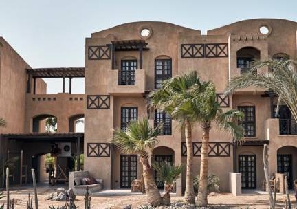 Cook's Club El Gouna - adults only