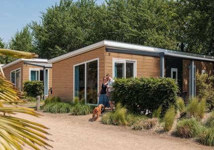 Chalet 4 personen - Vakantiepark Fort den Haak | Vrouwenpolder (2 huisdieren toegestaan)