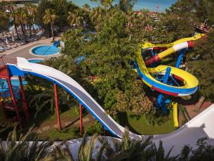 Delphin Botanik Platinum