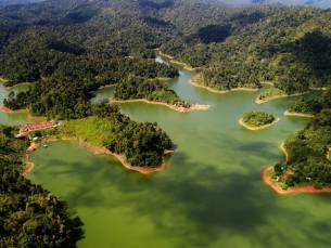 De natuur van Belum Rainforest