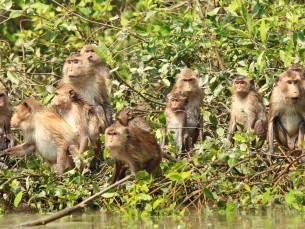 Bangkok, Khao Yai en Koh Samet