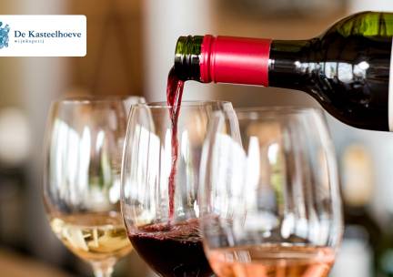 Wijnproeverij voor 4 personen in de Koninklijke Wachtkamer te Apeldoorn