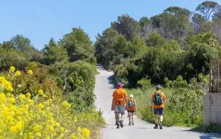 Wandel 4-daagse Mallorca Hotel Parque Nereida ****