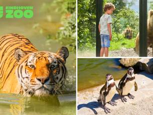 Gehele dag entree tot Eindhoven Zoo