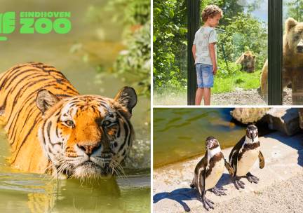 Gehele dag entree tot Eindhoven Zoo