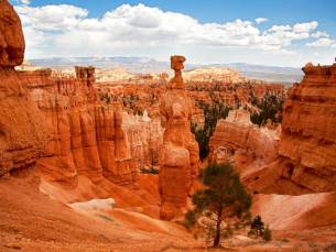 Highlights of the Wild West