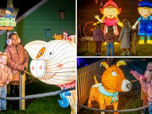 Entree voor Het Grote Boerderij Lichtfestival bij Avonturenboerderij Molenwaard + drankje