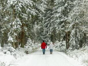 STUNT! 4 dagen genieten in het prachtige Th&uuml;ringer Woud in een hotel met wellnessfaciliteiten o.b.v. volpension!
