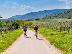 ALL-INCLUSIVE in het hart van de Duitse Eifel incl. GRATIS wandel- en fietsroutes & parkeren!