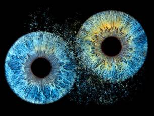 Iris-fotoshoot (1 tot 5 pers.) + 1 afdruk (20x20)